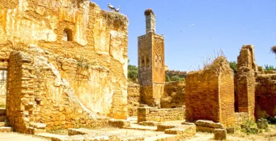 Ruinas romanas y arquitectura islámica en Chellah Rabat